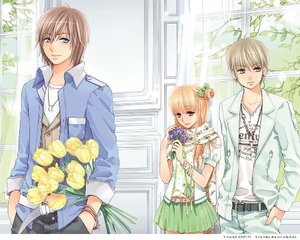 三叶草研究所网站入口